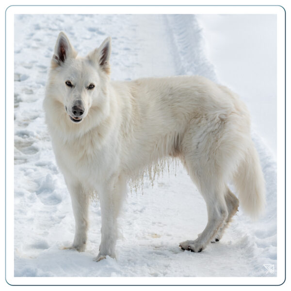 ©Felix-Kuehne-Fotograf-Portraet-Studio-Location